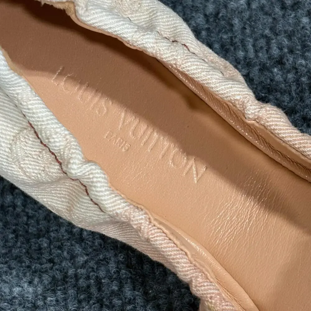 Louis Vuitton brand louis